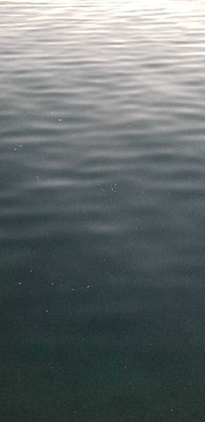 アジング)釣りで怖いのは人でした。