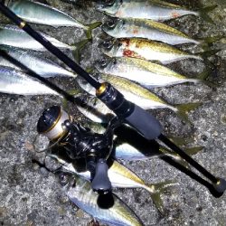 帰宅途中にアジング