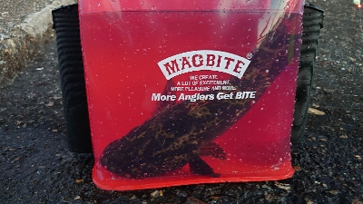 爆風スランプ！激アツ釣行！