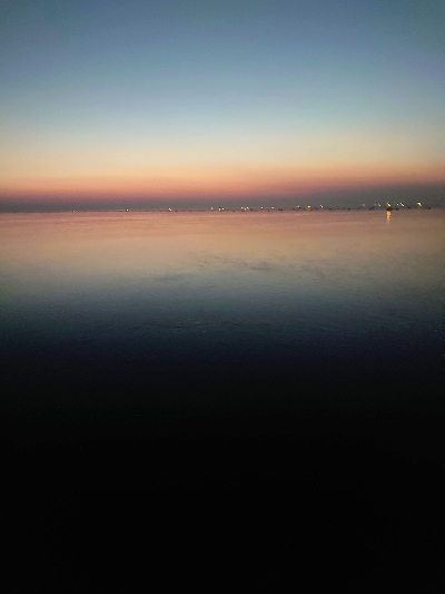 ガシラでした。