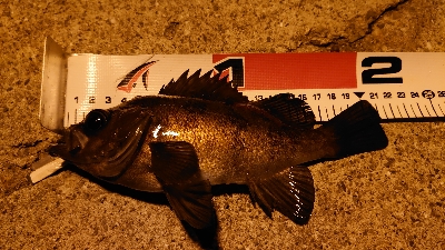 ライトゲームで三目