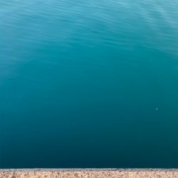 防波堤で、マルスズキ釣果！！