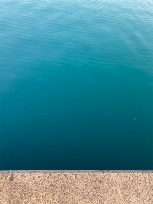 防波堤で、マルスズキ釣果！！