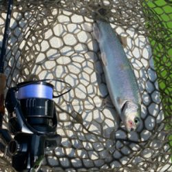 春の陽気の中、エリアトラウト