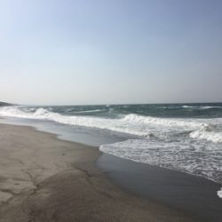 サラシの中からヒラスズキ