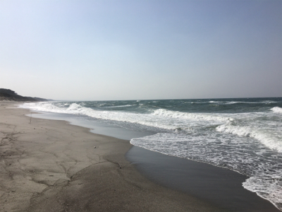 サラシの中からヒラスズキ