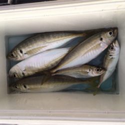 おさかな村は本当におさかな村だった^_^