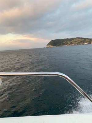 沼島のジギング