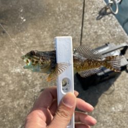 お気に入りのポイントへ