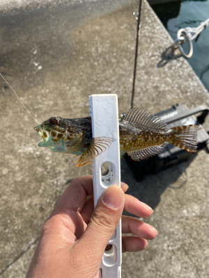 お気に入りのポイントへ