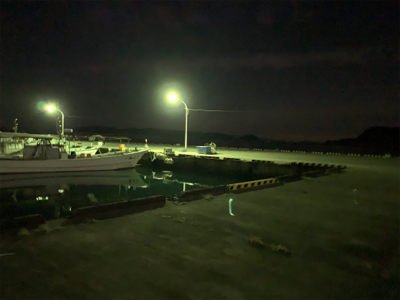 メバルはまだ‥