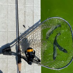 服部緑地 午後 TVの取材が・・・。