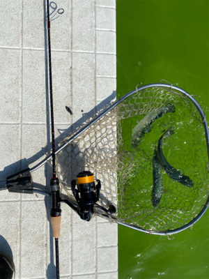 服部緑地 午後 TVの取材が・・・。