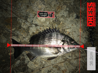 ☆2021年待望の1本