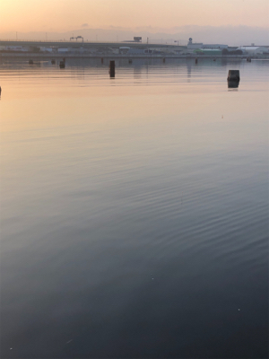 魚は居てます。後は釣るだけ。