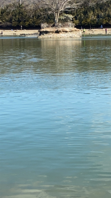 加賀フィシングエリア