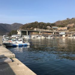 素晴らしい景色とガシラ