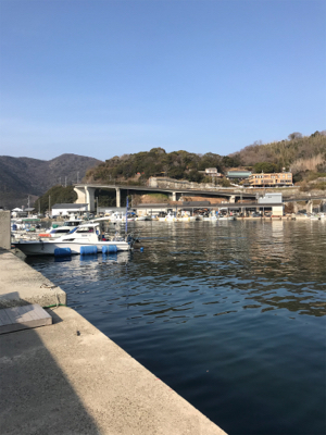 素晴らしい景色とガシラ