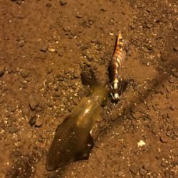 暇つぶしにライト五目