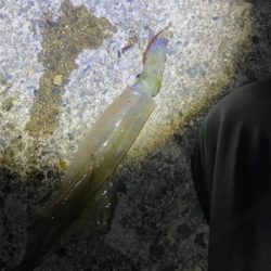 会社の上司と初めての釣り