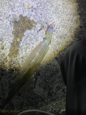 会社の上司と初めての釣り