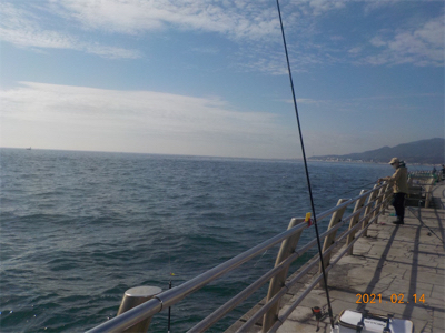 ガシラに癒される