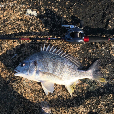 淀川ブリームゲーム