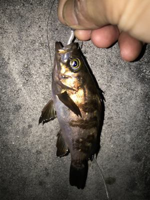 上昇傾向メバリング