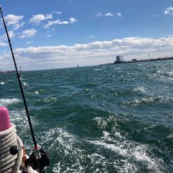 つり幸　LTアジ