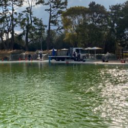 服部緑地　そろそろ数釣りには水温限界かも