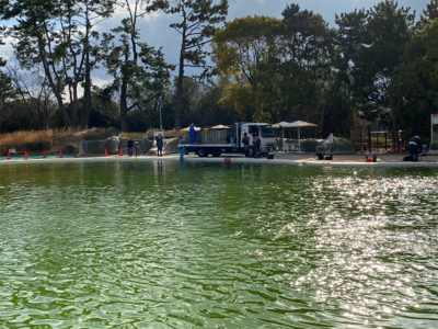 服部緑地　そろそろ数釣りには水温限界かも
