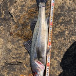 3連続ヴァウズ免れた〜