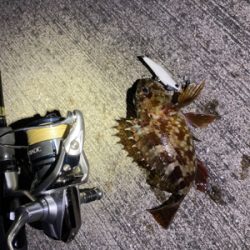 テスト明けの至福タイム