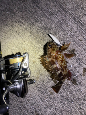 テスト明けの至福タイム