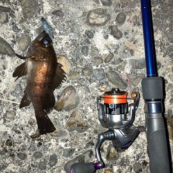 仕事終わりにサクッと