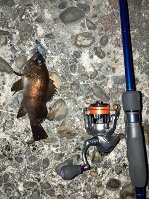 仕事終わりにサクッと