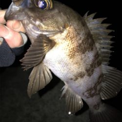 2021ライトゲーム第5戦