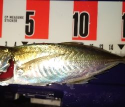 あー気持ちいいもー気持ちいい