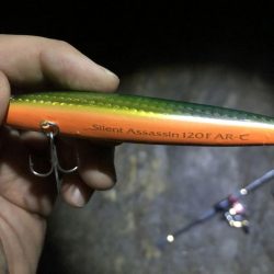 ゴロタでシーバス、メバリング