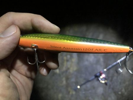 ゴロタでシーバス、メバリング