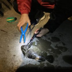 根魚の最大記録更新！