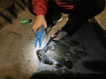 根魚の最大記録更新！