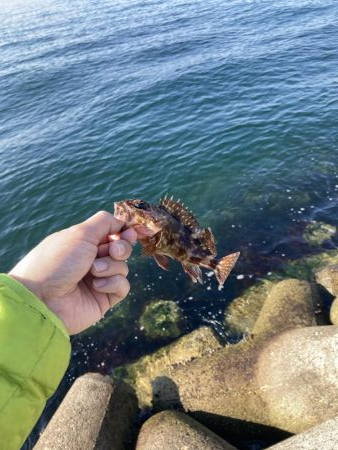 エビ撒き穴釣り