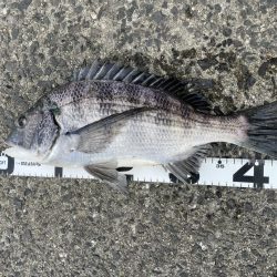 イチノ兄弟、釣果！