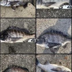 イチノ兄弟、釣果！