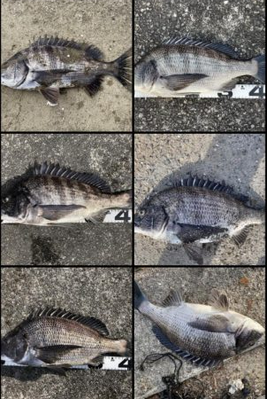 イチノ兄弟、釣果！