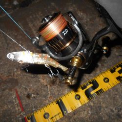 狙いはディープエリア。