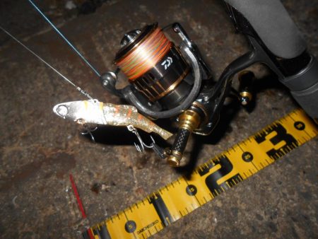 狙いはディープエリア。