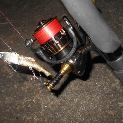 流れが緩くなった時が時合い？。