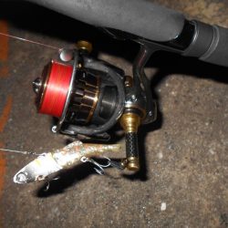 VJ-22ヘッド＋CA-02 アルカリシャッドの組み合わせでヒット。